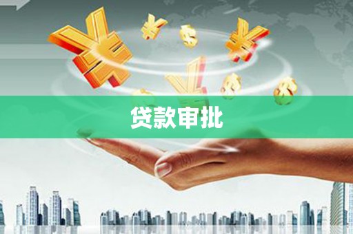 芦淞贷款审批