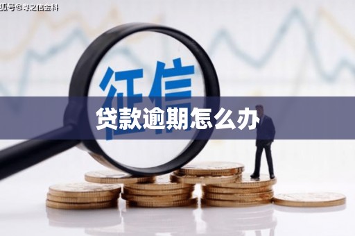 芦淞贷款逾期怎么办