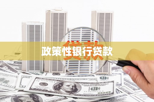 芦淞政策性银行贷款