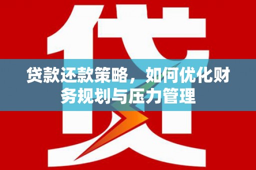 芦淞贷款还款策略，如何优化财务规划与压力管理