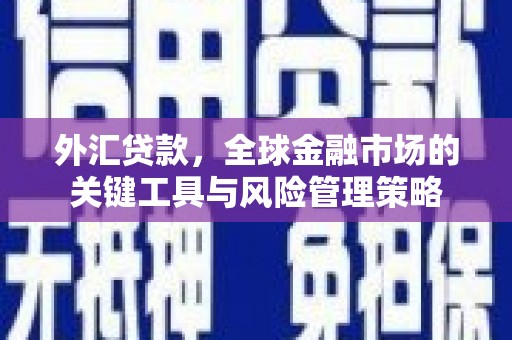 芦淞外汇贷款，全球金融市场的关键工具与风险管理策略