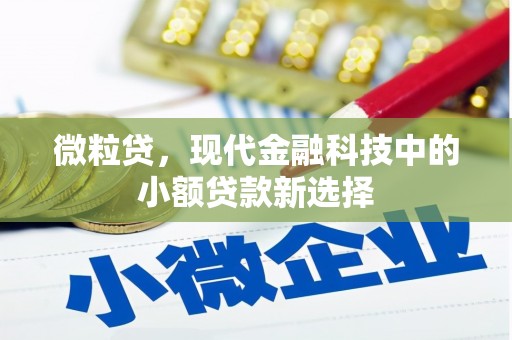 芦淞微粒贷，现代金融科技中的小额贷款新选择