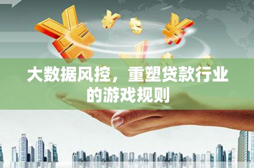 芦淞大数据风控，重塑贷款行业的游戏规则