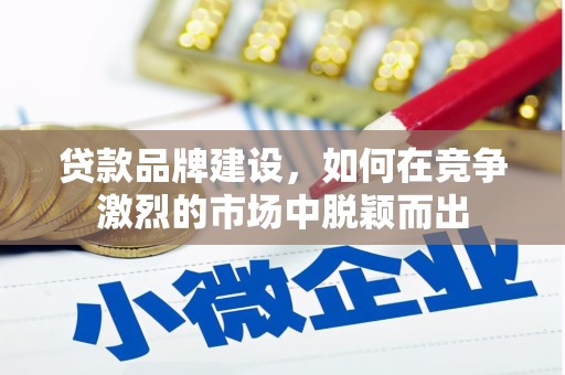 芦淞贷款品牌建设，如何在竞争激烈的市场中脱颖而出