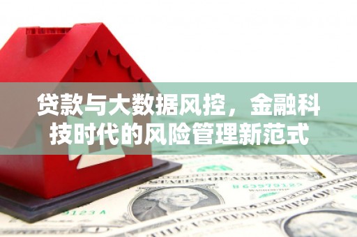 芦淞贷款与大数据风控，金融科技时代的风险管理新范式