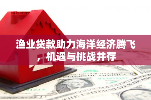 芦淞渔业贷款助力海洋经济腾飞，机遇与挑战并存