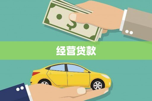 芦淞经营贷款
