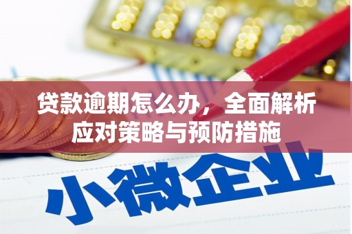 芦淞贷款逾期怎么办，全面解析应对策略与预防措施