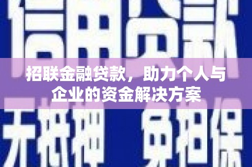 芦淞招联金融贷款，助力个人与企业的资金解决方案
