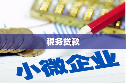 芦淞税务贷款