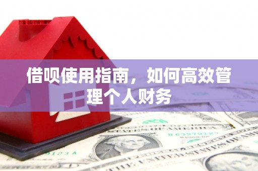 芦淞借呗使用指南，如何高效管理个人财务