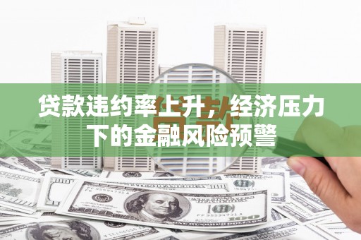 芦淞贷款违约率上升，经济压力下的金融风险预警