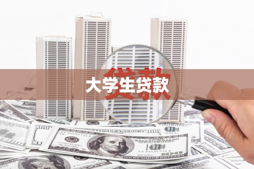 芦淞大学生贷款