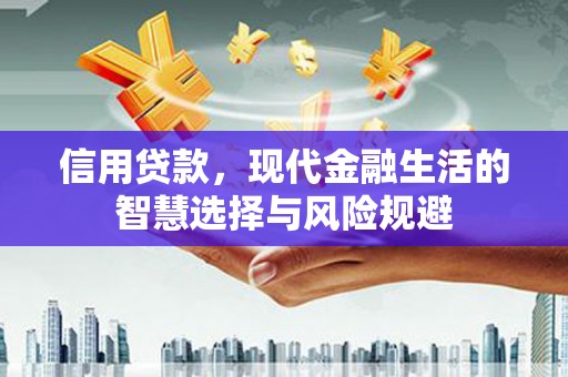 芦淞信用贷款，现代金融生活的智慧选择与风险规避
