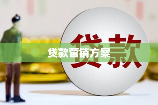 芦淞贷款营销方案