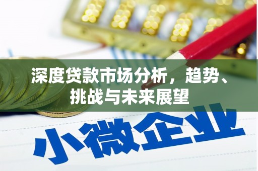 芦淞深度贷款市场分析，趋势、挑战与未来展望