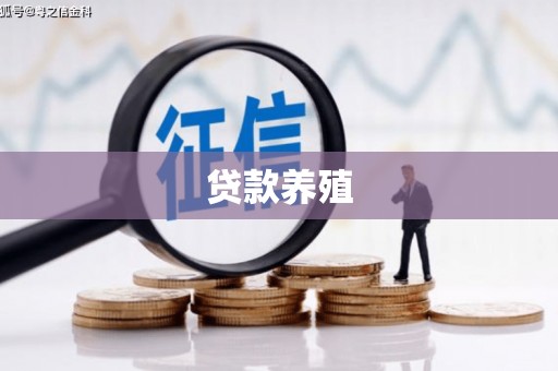 芦淞贷款养殖