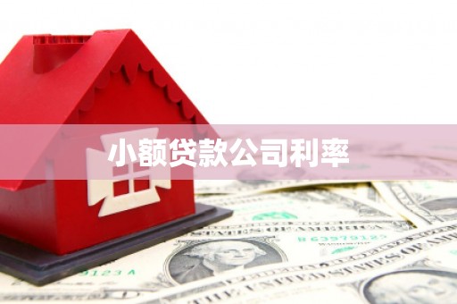 芦淞小额贷款公司利率