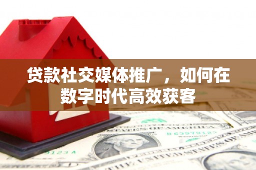 芦淞贷款社交媒体推广，如何在数字时代高效获客