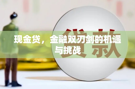 芦淞现金贷，金融双刃剑的机遇与挑战