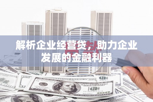 芦淞解析企业经营贷，助力企业发展的金融利器