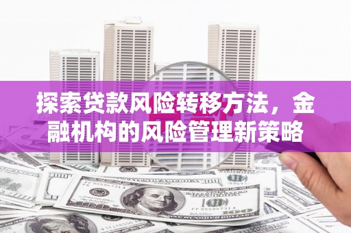 芦淞探索贷款风险转移方法，金融机构的风险管理新策略