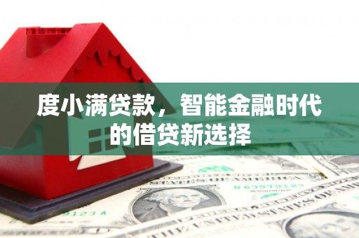 芦淞度小满贷款，智能金融时代的借贷新选择