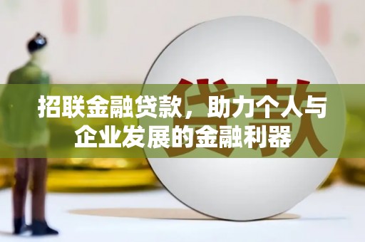 芦淞招联金融贷款，助力个人与企业发展的金融利器