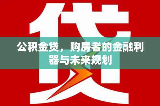 芦淞公积金贷，购房者的金融利器与未来规划