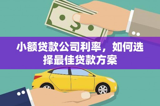 芦淞小额贷款公司利率，如何选择最佳贷款方案