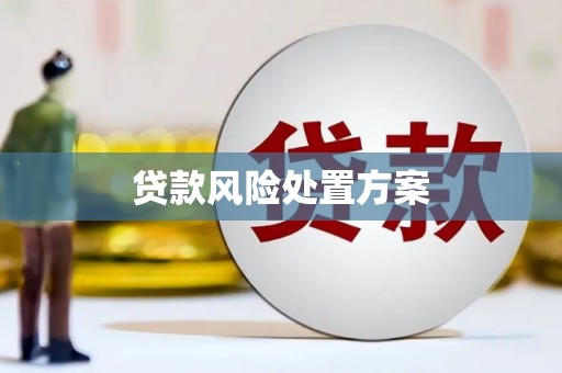 芦淞贷款风险处置方案