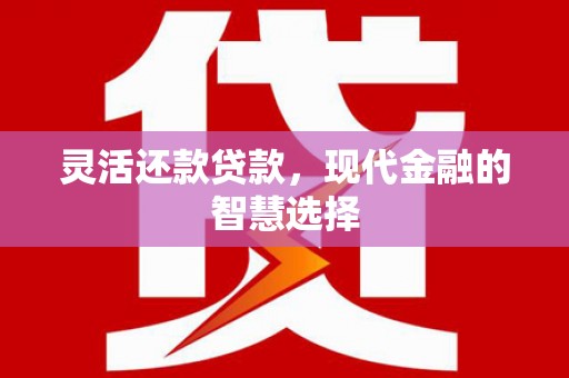 芦淞灵活还款贷款，现代金融的智慧选择