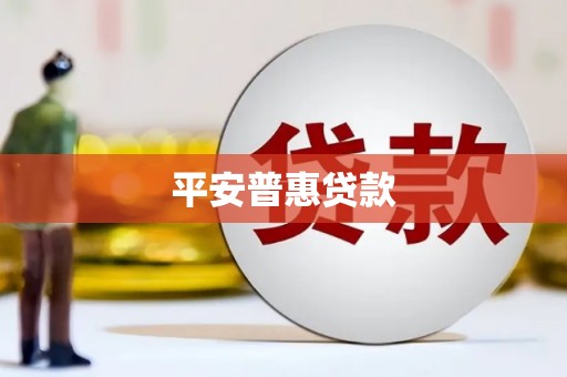 芦淞平安普惠贷款