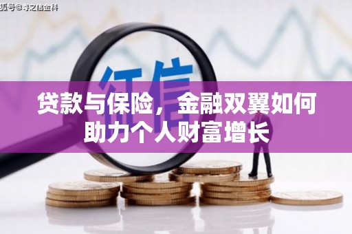 芦淞贷款与保险，金融双翼如何助力个人财富增长
