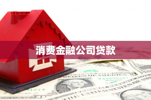 芦淞消费金融公司贷款