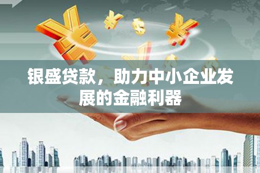 芦淞银盛贷款，助力中小企业发展的金融利器