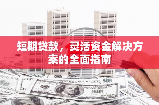 芦淞短期贷款，灵活资金解决方案的全面指南
