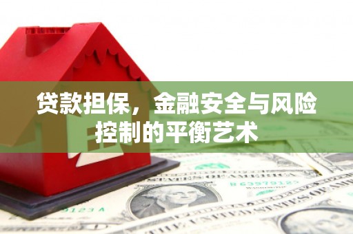 芦淞贷款担保，金融安全与风险控制的平衡艺术