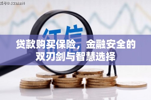 芦淞贷款购买保险，金融安全的双刃剑与智慧选择