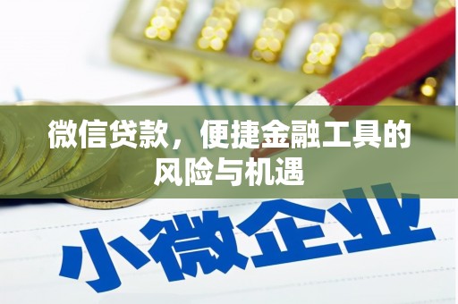芦淞微信贷款，便捷金融工具的风险与机遇
