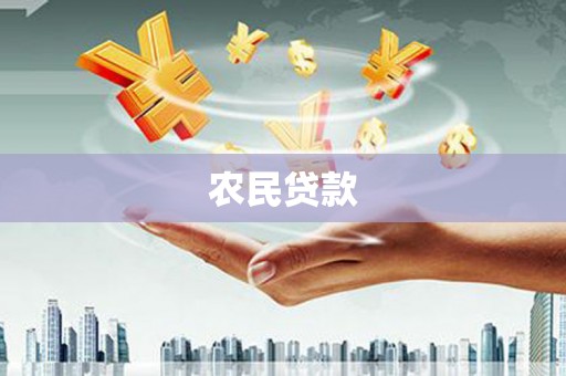 芦淞农民贷款