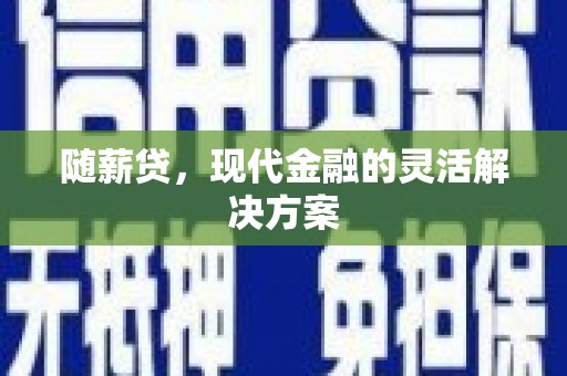 芦淞随薪贷，现代金融的灵活解决方案