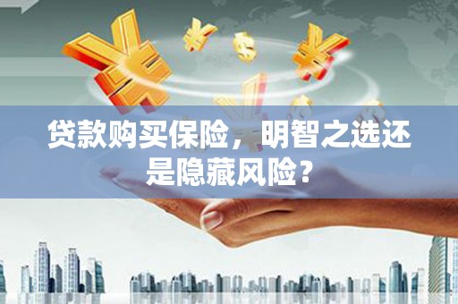 芦淞贷款购买保险，明智之选还是隐藏风险？