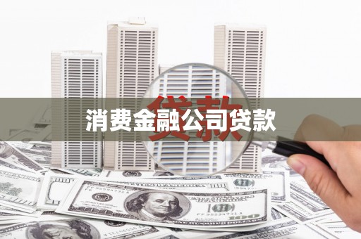 芦淞消费金融公司贷款
