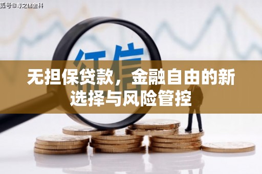 芦淞无担保贷款，金融自由的新选择与风险管控