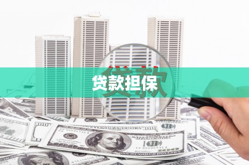 芦淞贷款担保