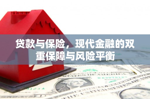 芦淞贷款与保险，现代金融的双重保障与风险平衡