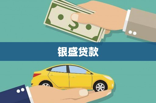 芦淞银盛贷款