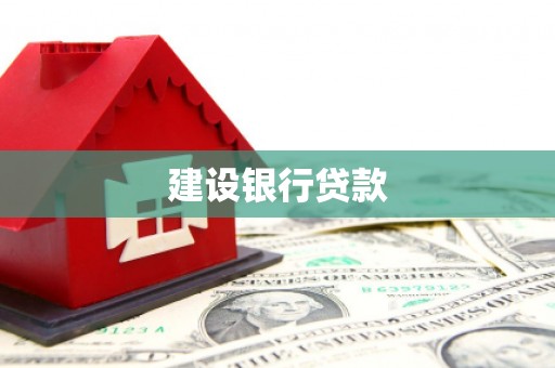 芦淞建设银行贷款