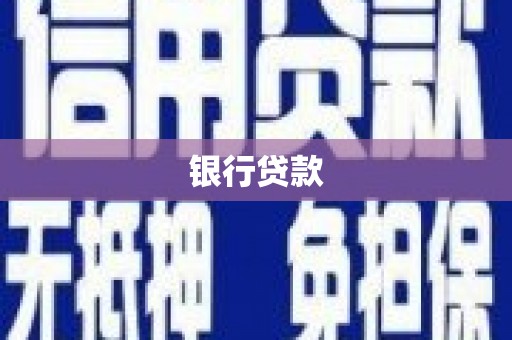 芦淞银行贷款